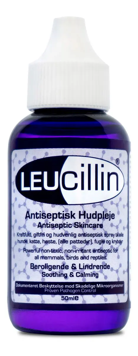 Leucillin Dropper - 50 ml.