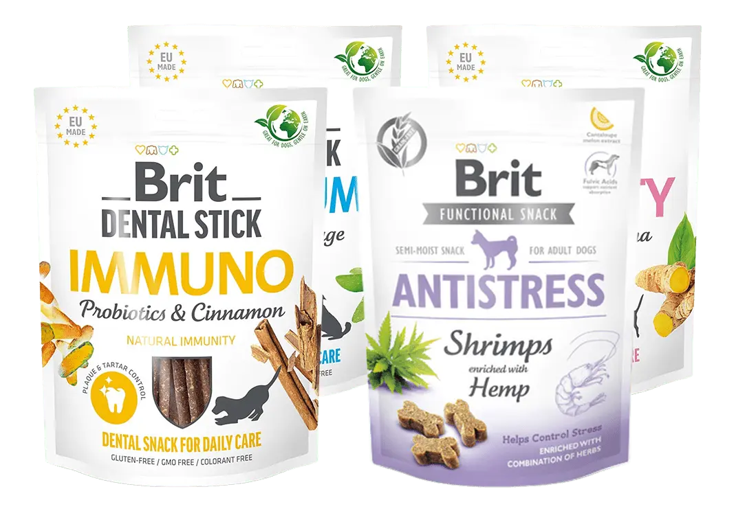 Brit Dental Sticks - 4 varianter.