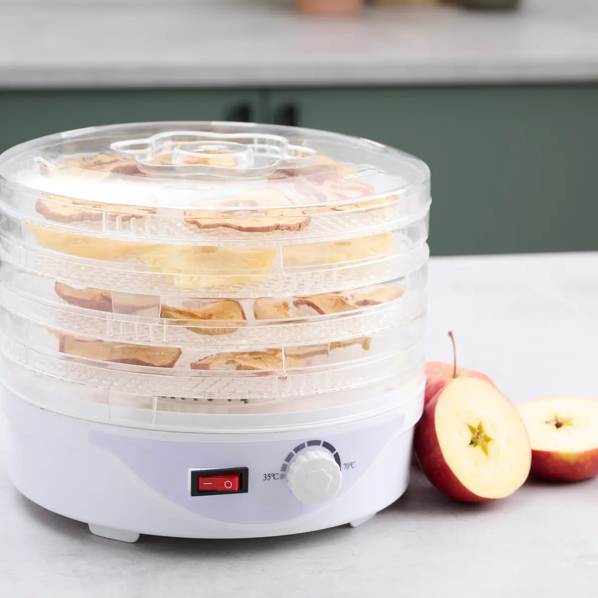 DAY DEHYDRATOR 245W