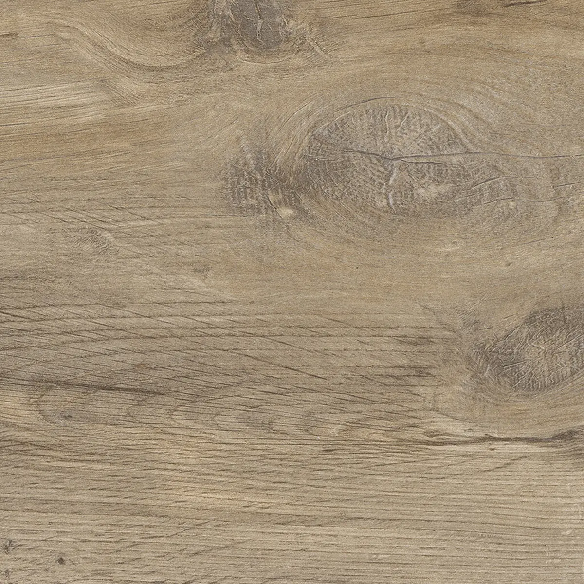 NEBRASKA ELM N-PLUS 30X60 9MM