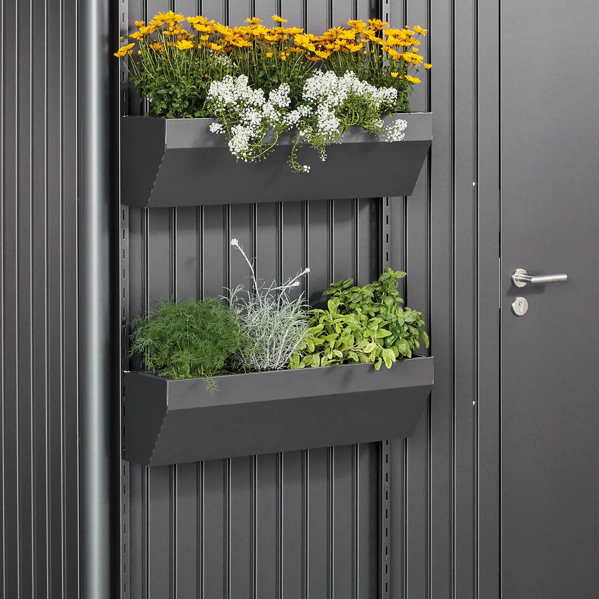 BIOHORT FLORABOARD FOR REDSKAPSBOD AVANTGARDE HIGHLINE, PANORAMA, MØRK GRÅ METALLIC
