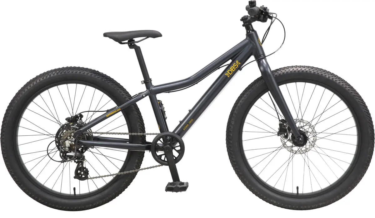 DBS Supernova D24 juniorsykkel 24" 25