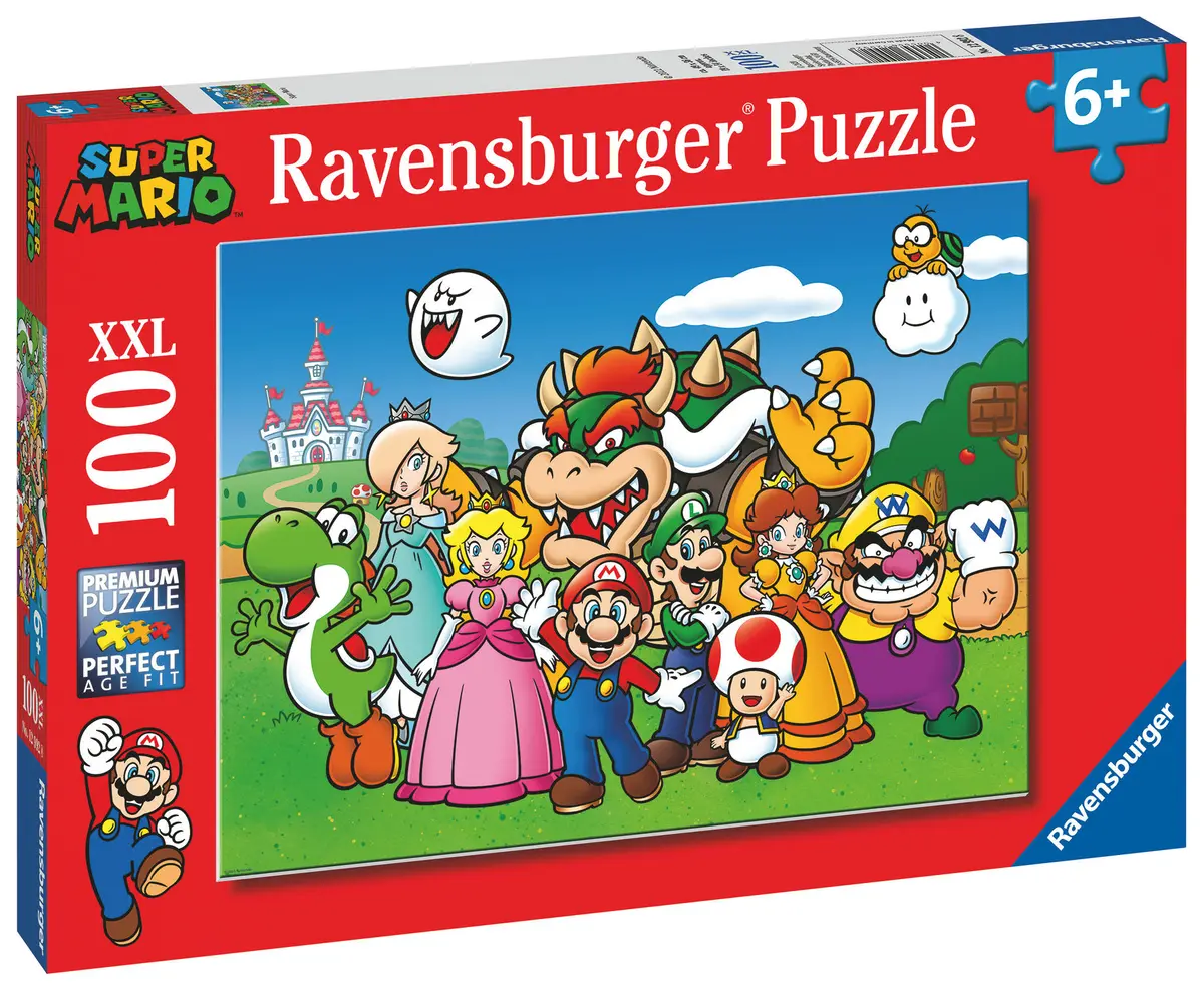 Super Mario Fun Puzzle (100)