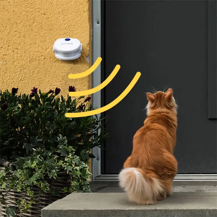 Dørklokke til katten