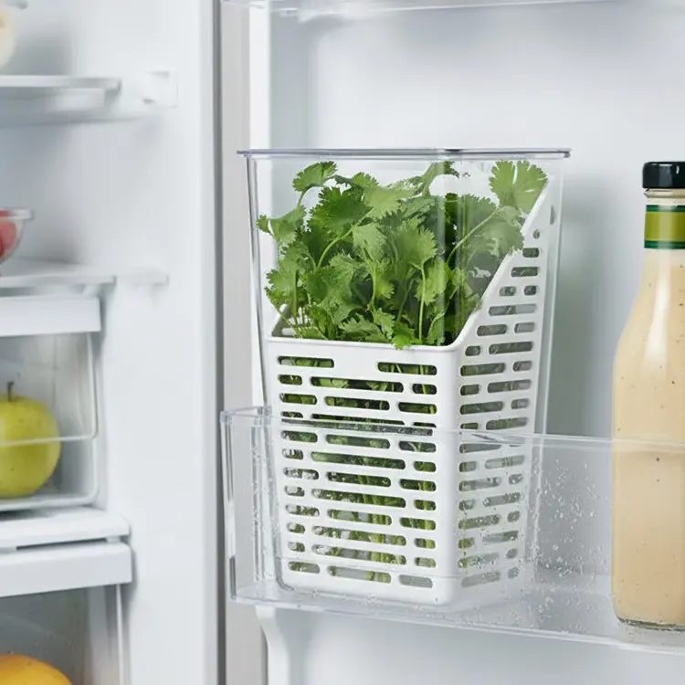Urtebeholder til kjøleskapet