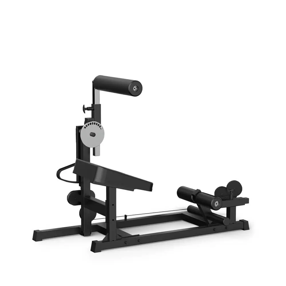 Ab & Back Trainer til Multigym Autark 6000