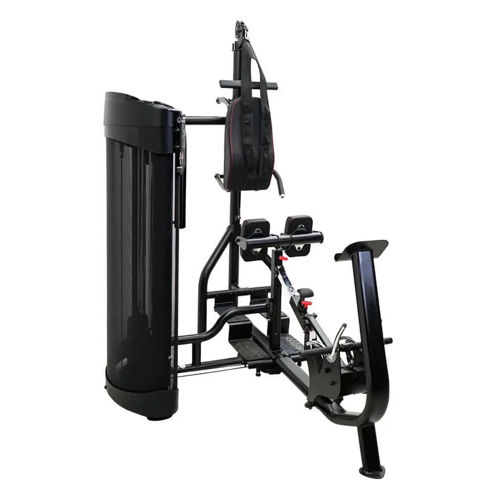 Dual Station Ab/Back