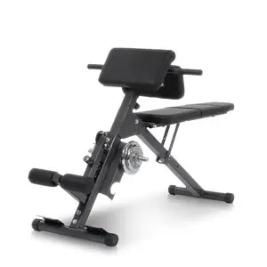 Treningsbenk Ab & Back Trainer
