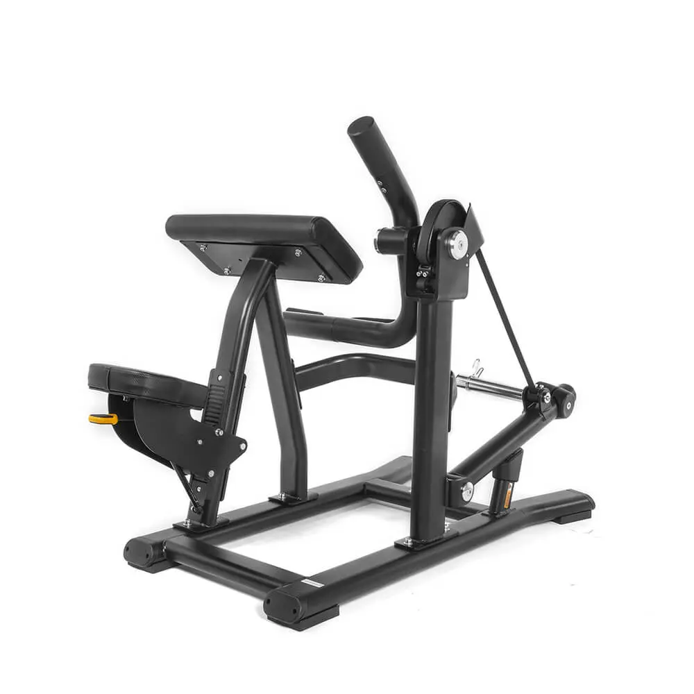Biceps Curls, Plate loaded