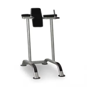Vertical Knee Raise IT7010