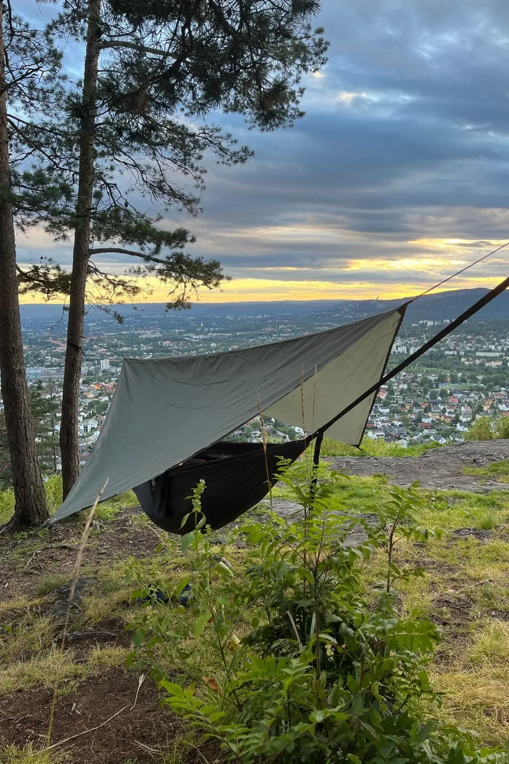 Fonnabu tarp