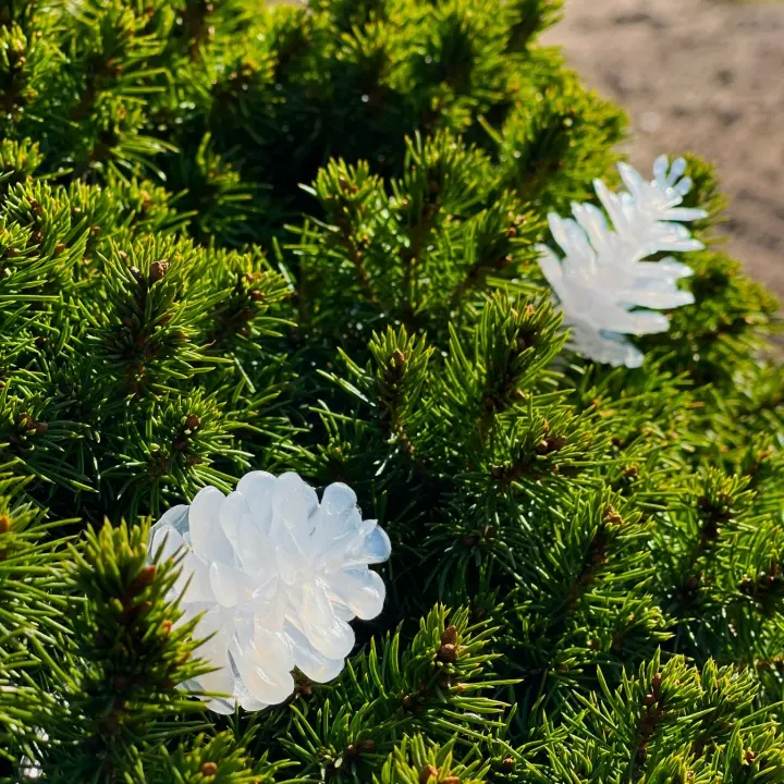 LightsOn Pine 10m lyskrans hvit glitrende kjegler