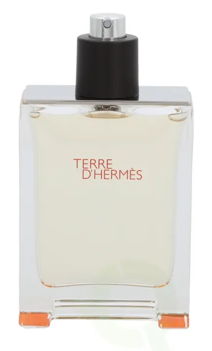 Hermes Terre D'Hermes Edt Spray 100 ml