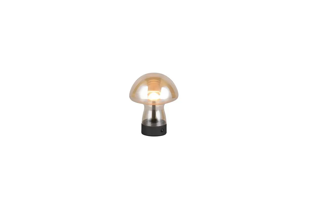 Bordlampe TRIO Dooley Rav