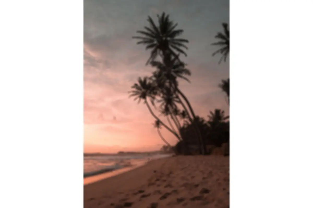 Poster Summer 70x100 cm