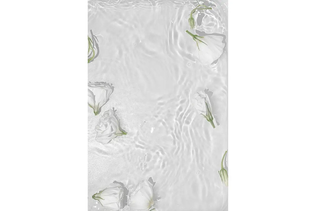 Poster White Roses 50x70 cm