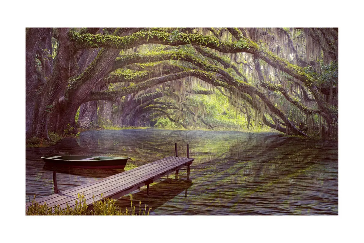 Fototapet Silence And Harmony 450x270