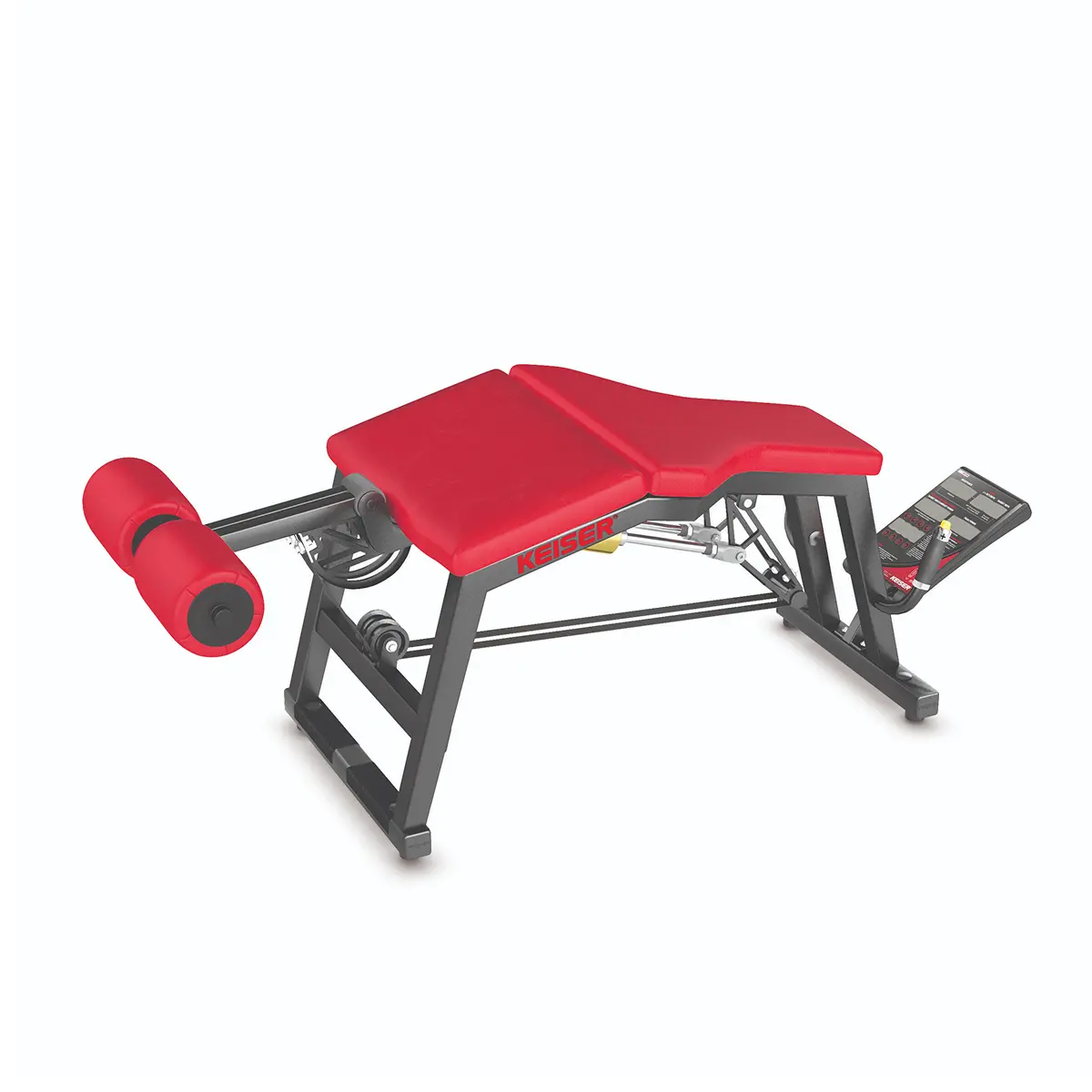 A300 Leg Curl