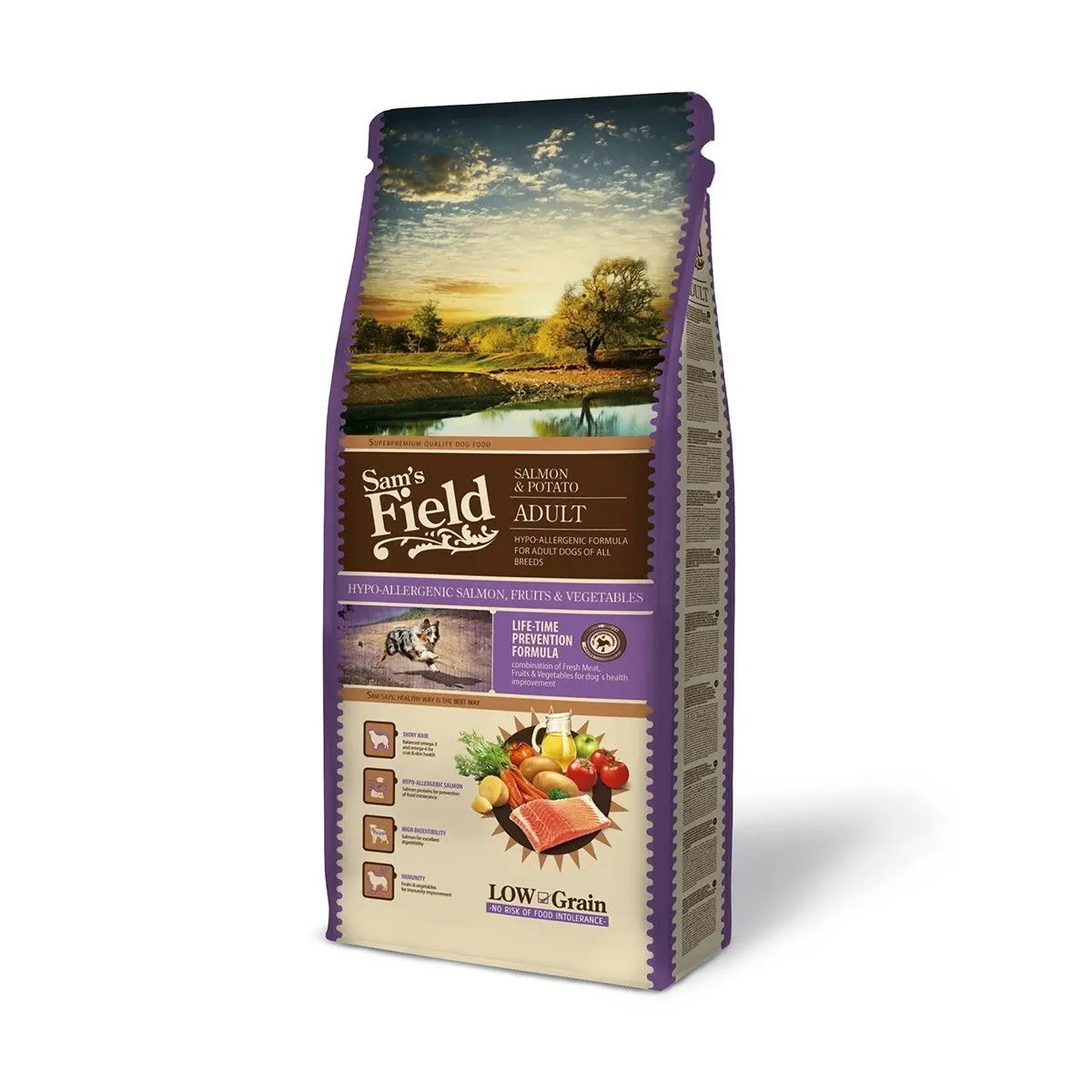 Sam's Field Adult Salmon & Potato