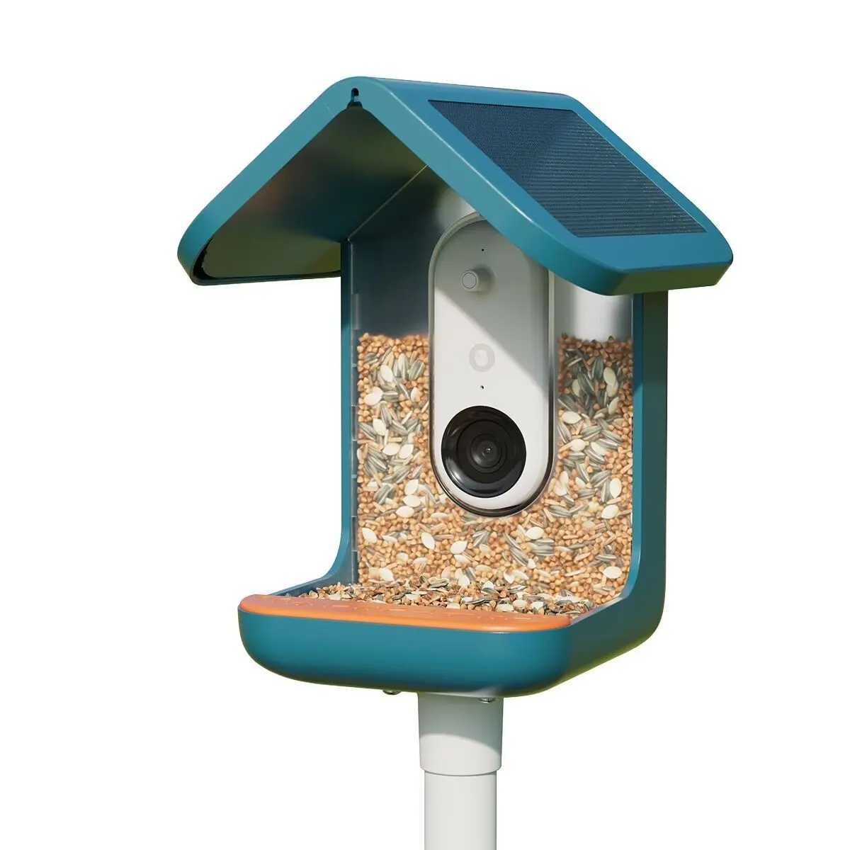 Birdbuddy Fôrautomat med Kamera Blå