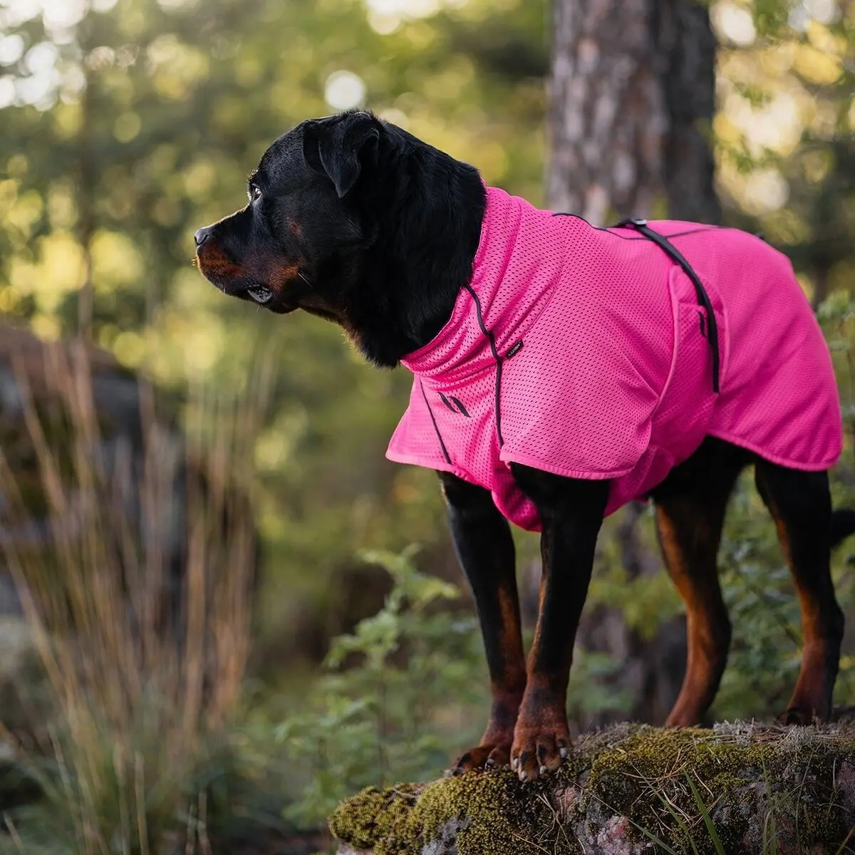 Back on Track Hundenettingdekken Limited Edition Rosa