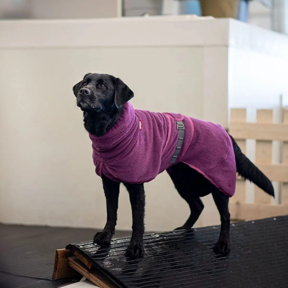 Pomppa Bath Badekåpe til Hund Plum