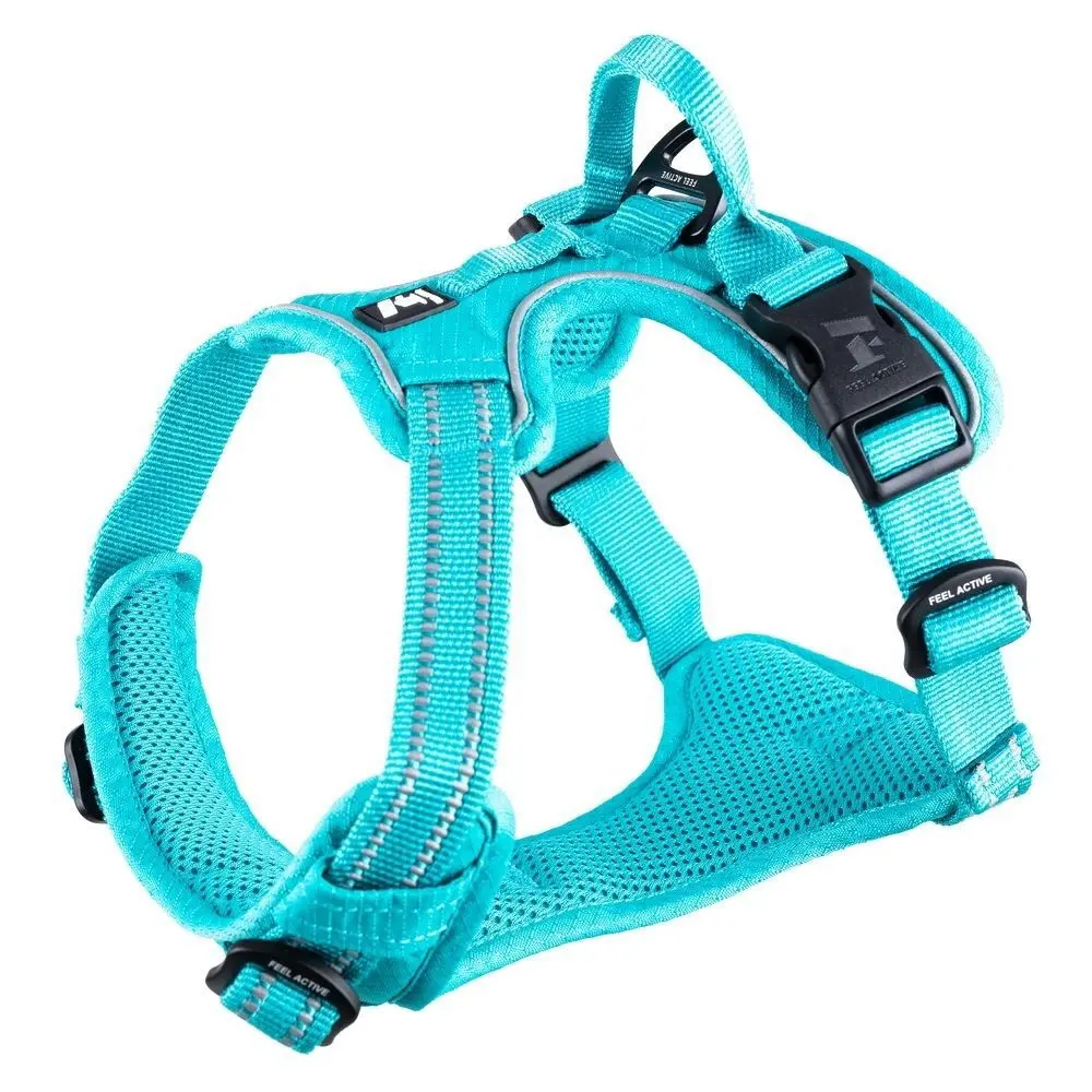 Feel Active Training Hundesele Turkos