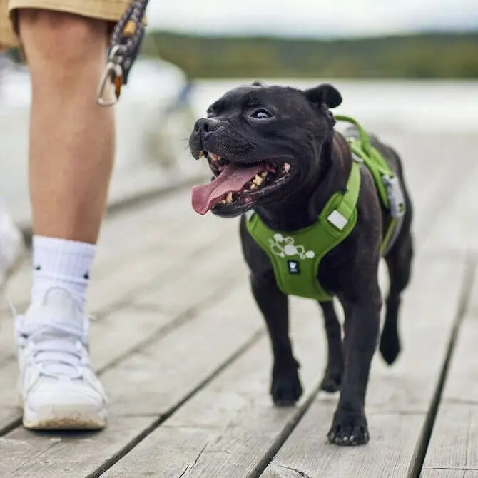 Hurtta Weekend Warrior II ECO Hundesele Grønn