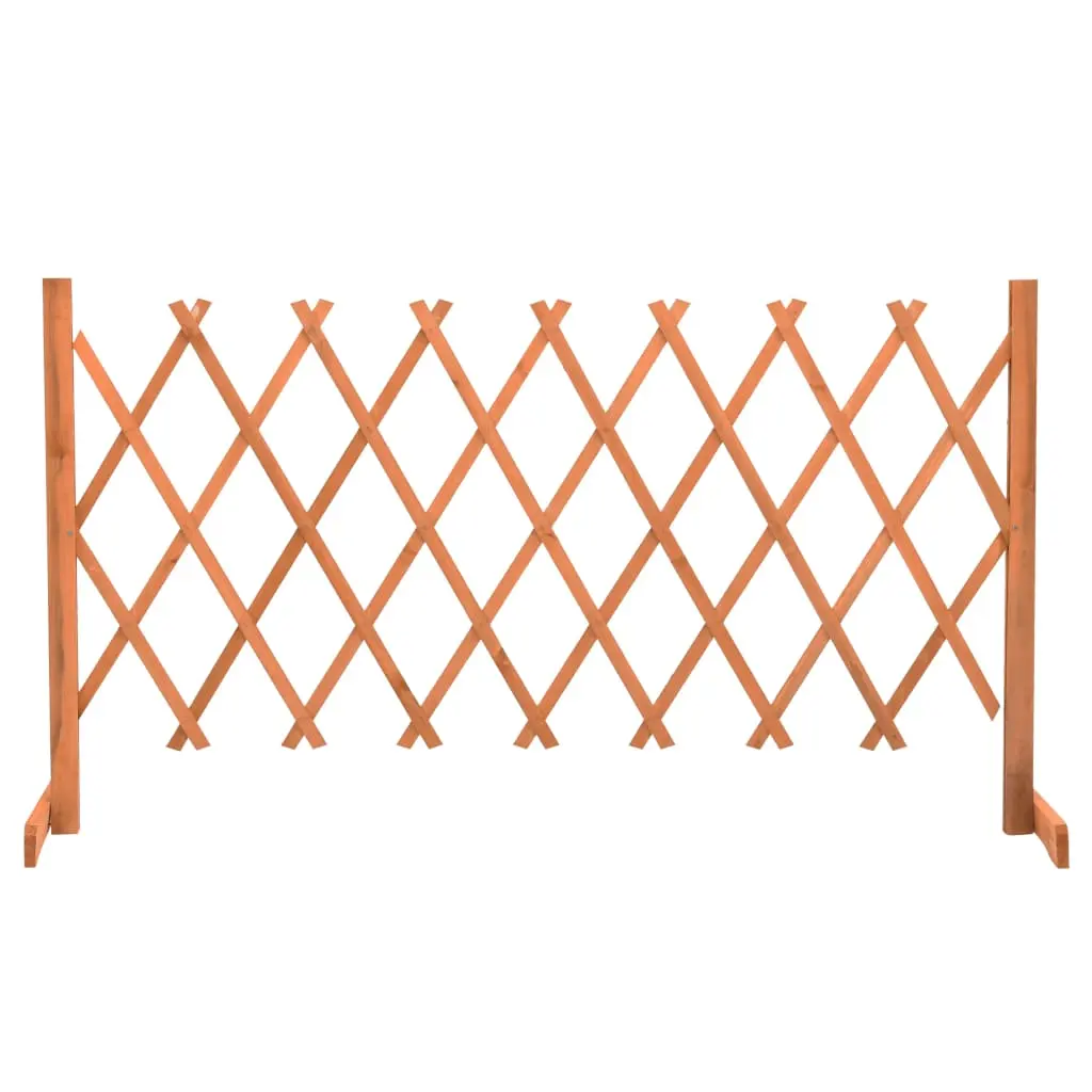 vidaXL Espaliergjerde oransje 150x80 cm heltre gran