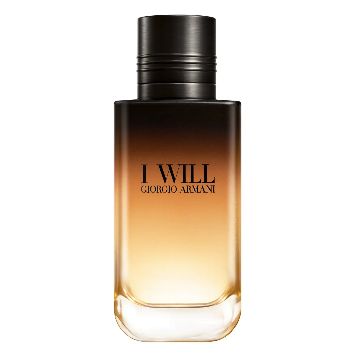 Armani I Will Edp 100ml