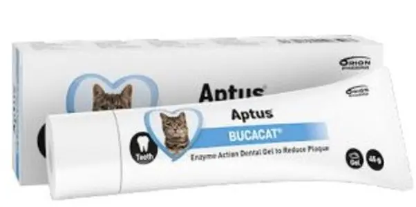 Aptus Bucacat oralpasta 45 g
