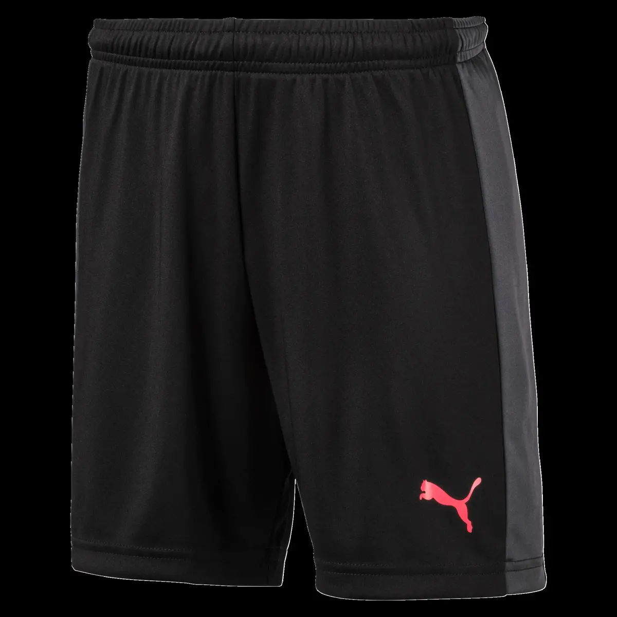 EvoTRG Shorts, treningsshorts