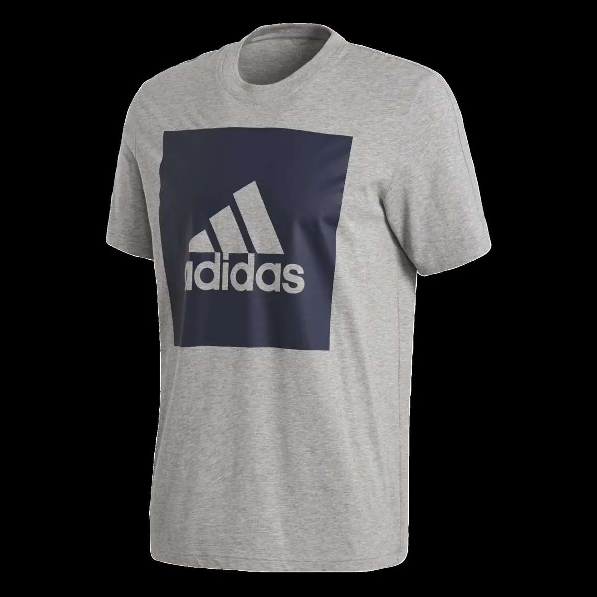 Essentials Big Logo Tee Mns
